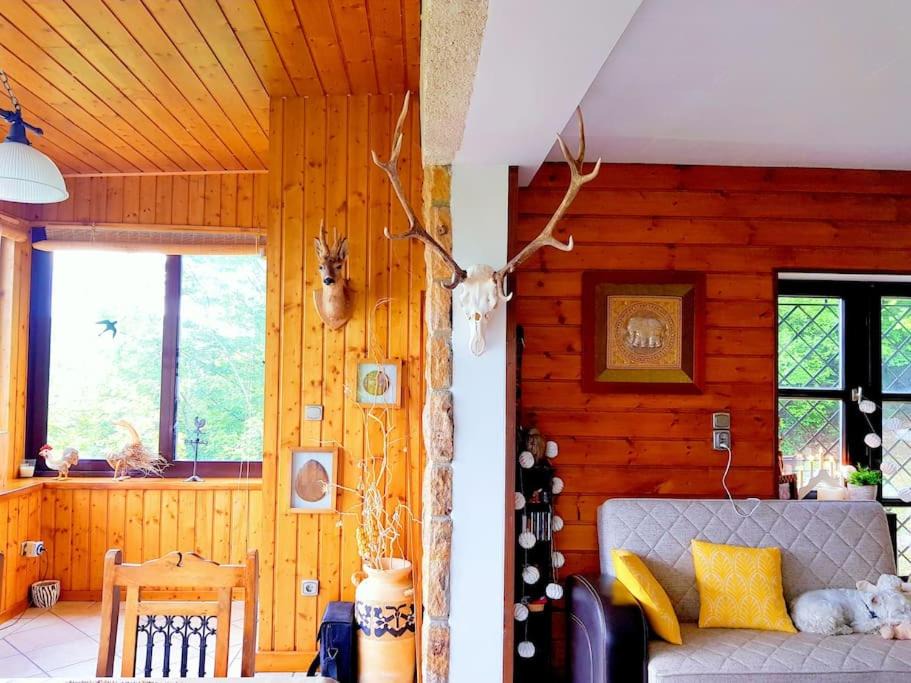 Photo of Livingroom in Nagymaros