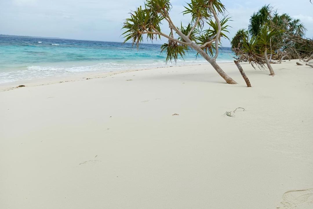 Photo of Others in Mimaropa