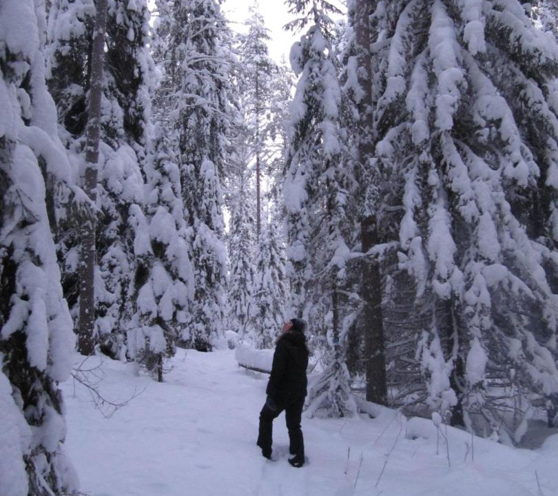 Photo of Others in Kitula