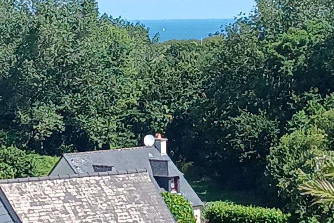 Photo of Others in Trelevern