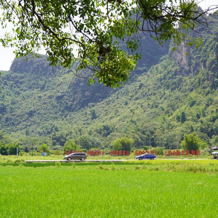 Photo of Others in Yangshuo