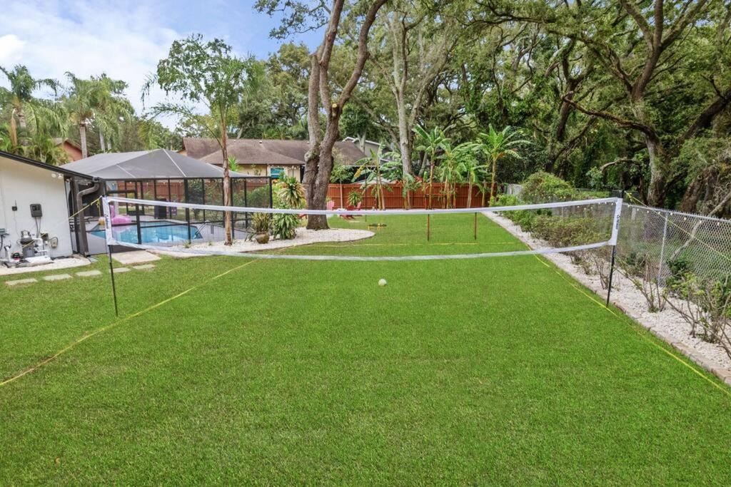 Photo of Others in Palm Harbor