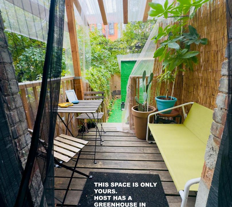Photo of Patio Balcony in Bushwick