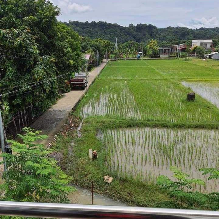 Photo of Others in Bauang