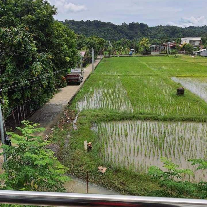 Photo of Others in Bauang