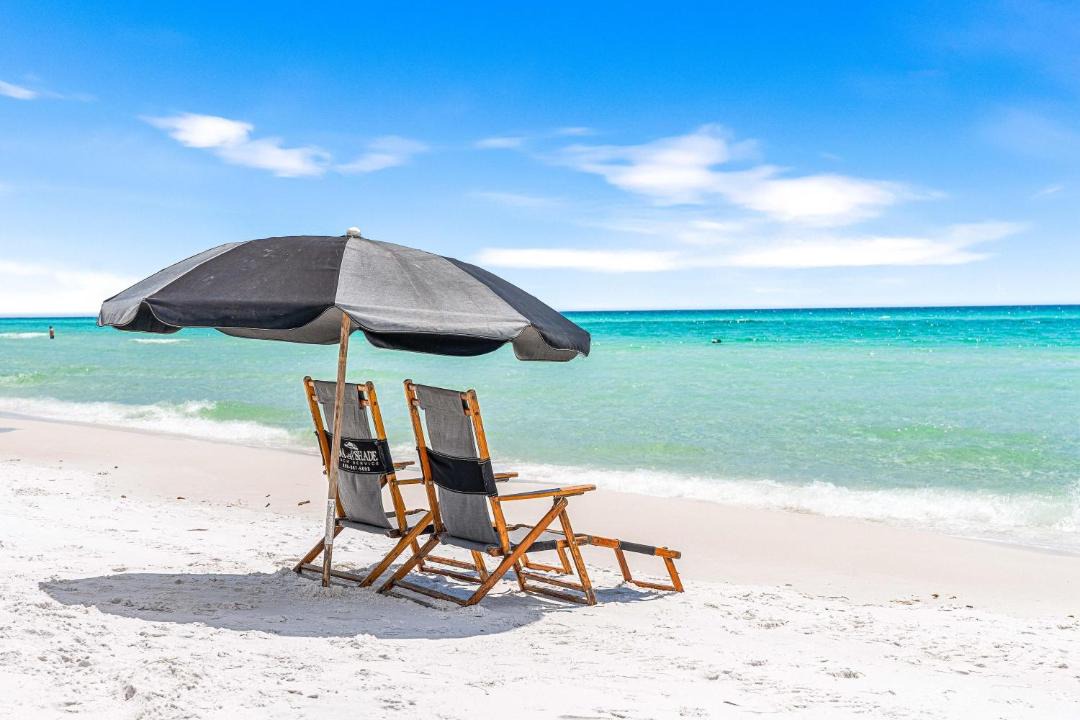 Photo of Others in Dune Allen Beach