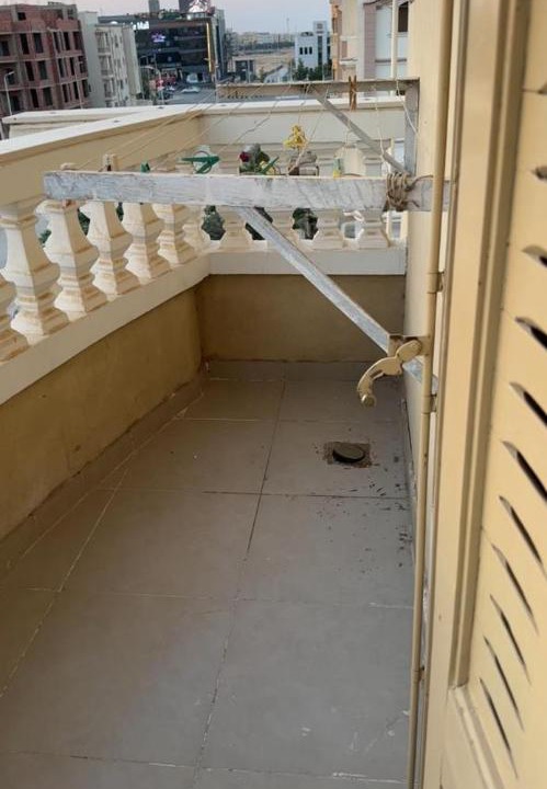 Photo of Others in Badr