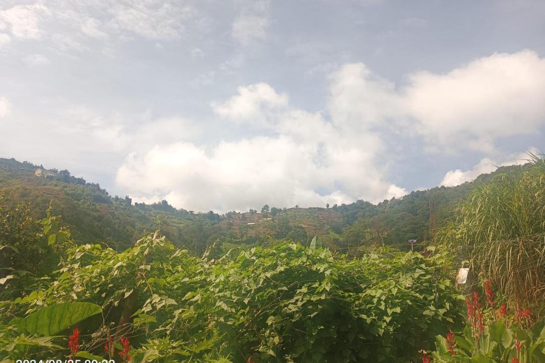 Photo of Others in Baguio