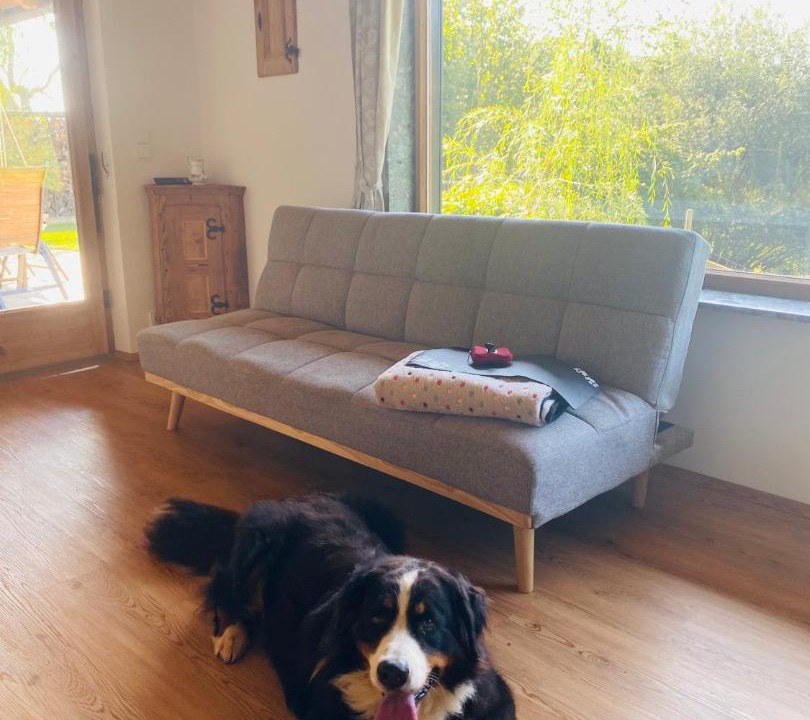 Photo of Livingroom in Lemsitz