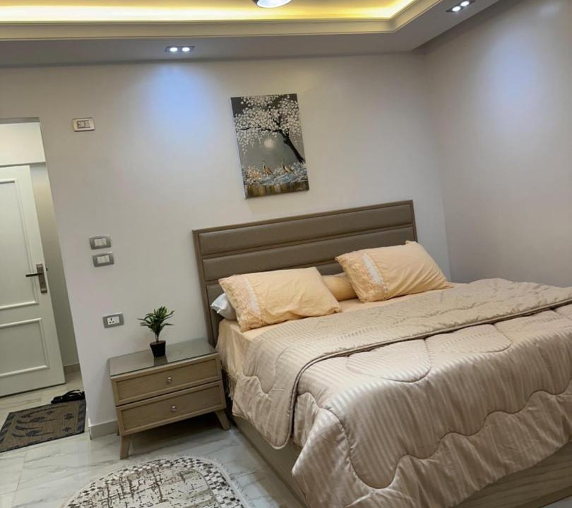 Photo of Bedroom in Mansoura