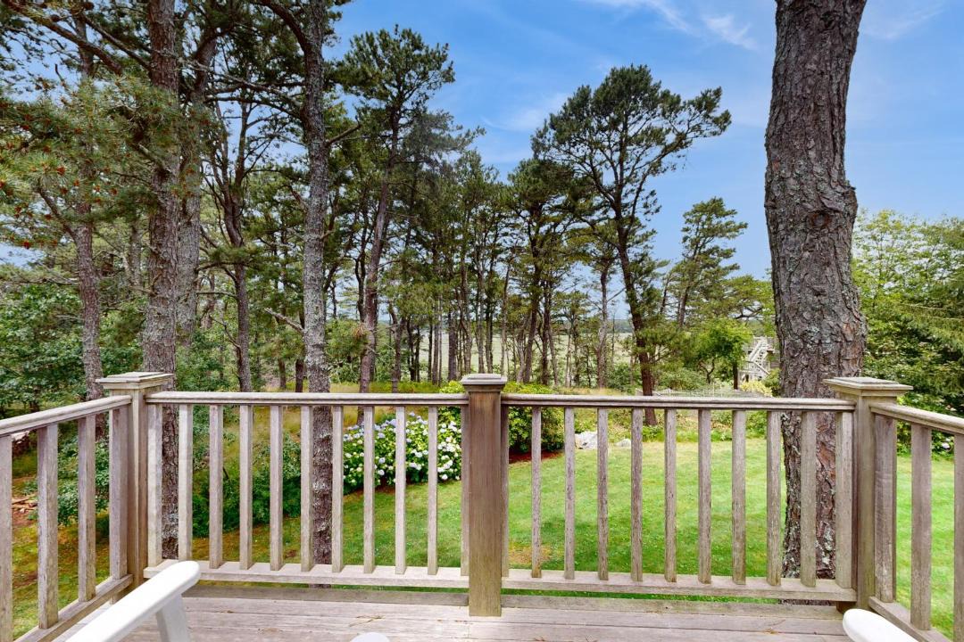 Photo of Others in Wellfleet