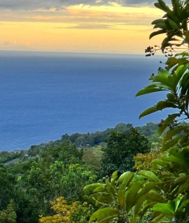 Photo of Others in Oslob
