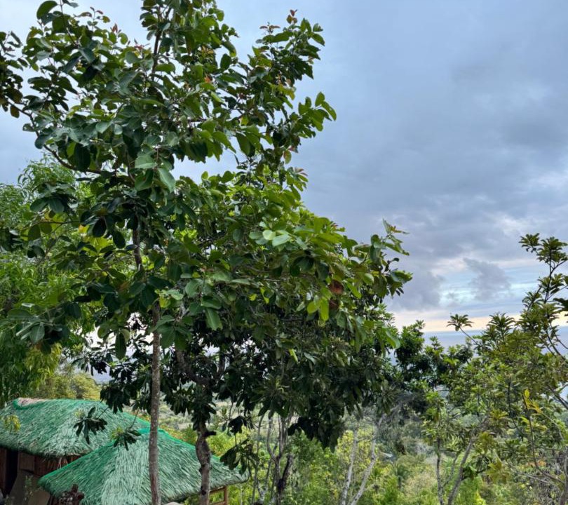 Photo of Others in Oslob