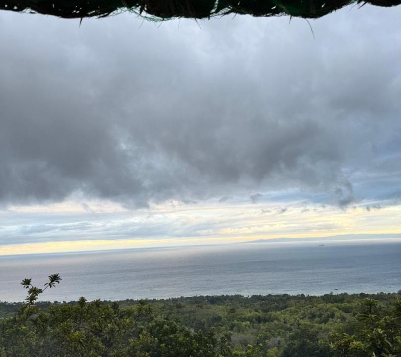 Photo of Others in Oslob