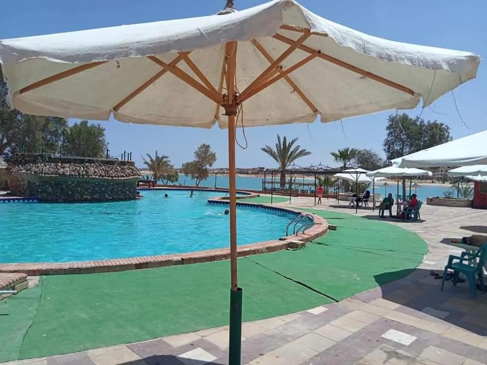 Photo of Others in Marsa Matruh