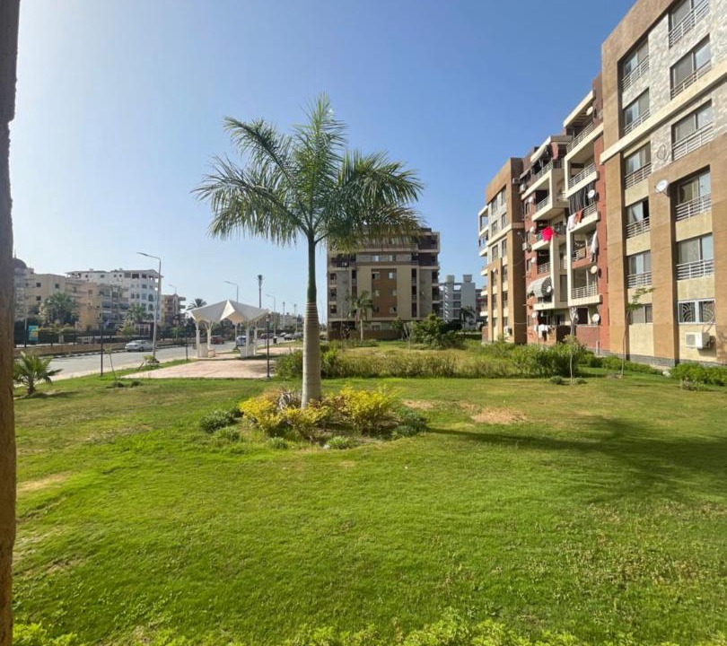 Photo of Others in New Damietta