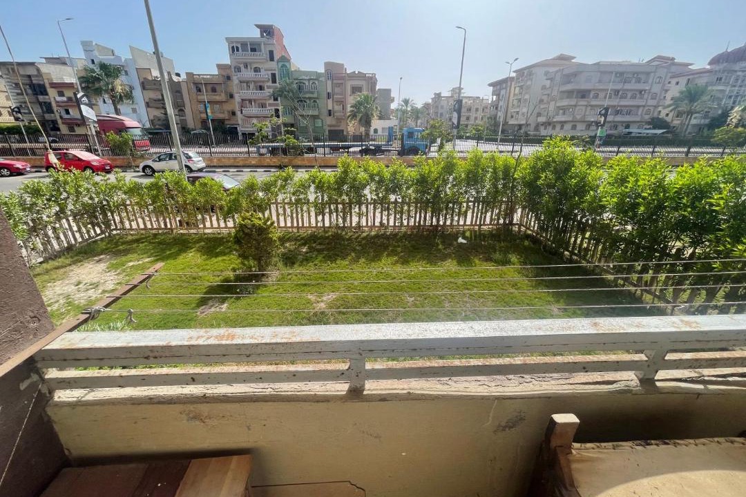 Photo of Others in New Damietta