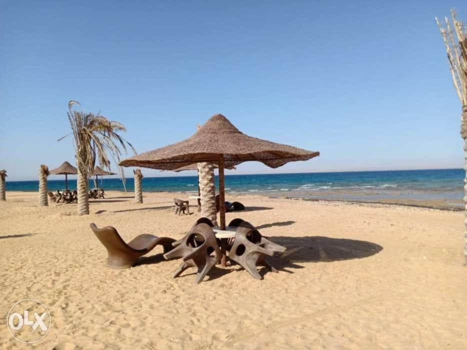 Photo of Others in Ain Sokhna