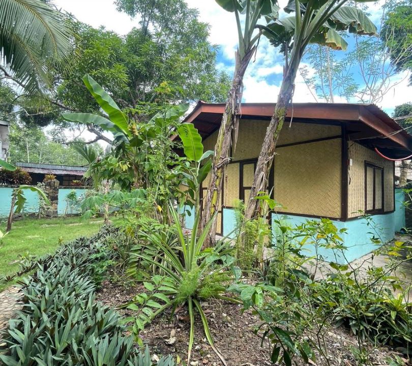 Photo of Others in Busuanga