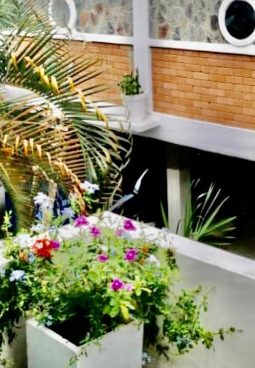 Photo of Patio Balcony in Pointe-Noire