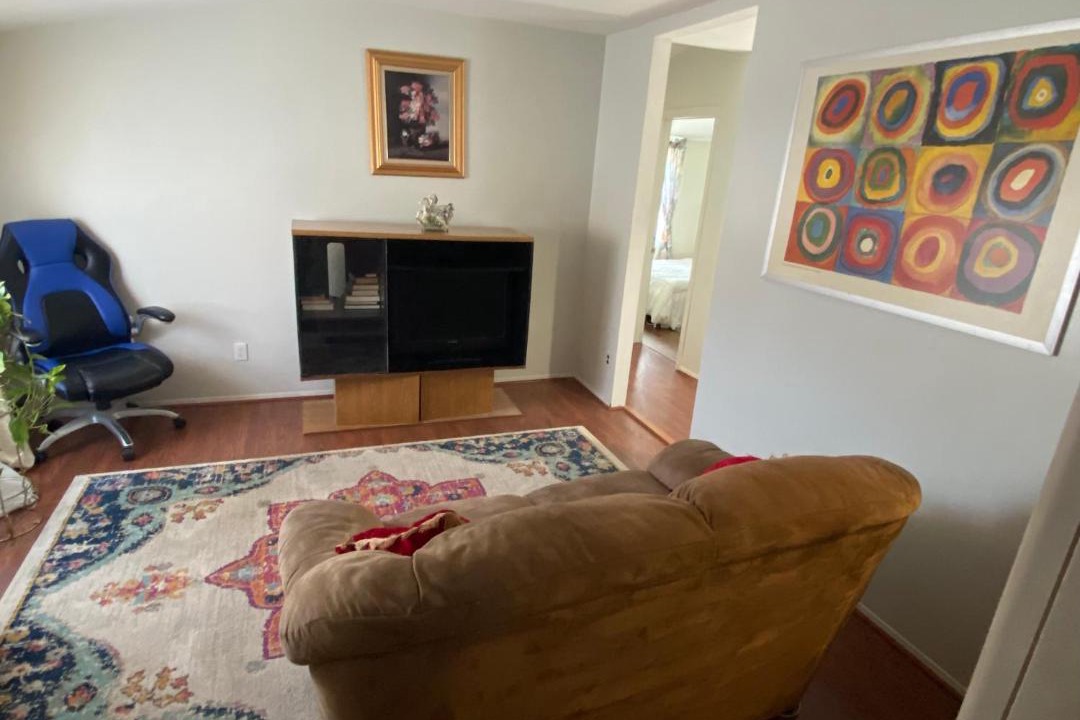 Photo of Livingroom in North Bellport