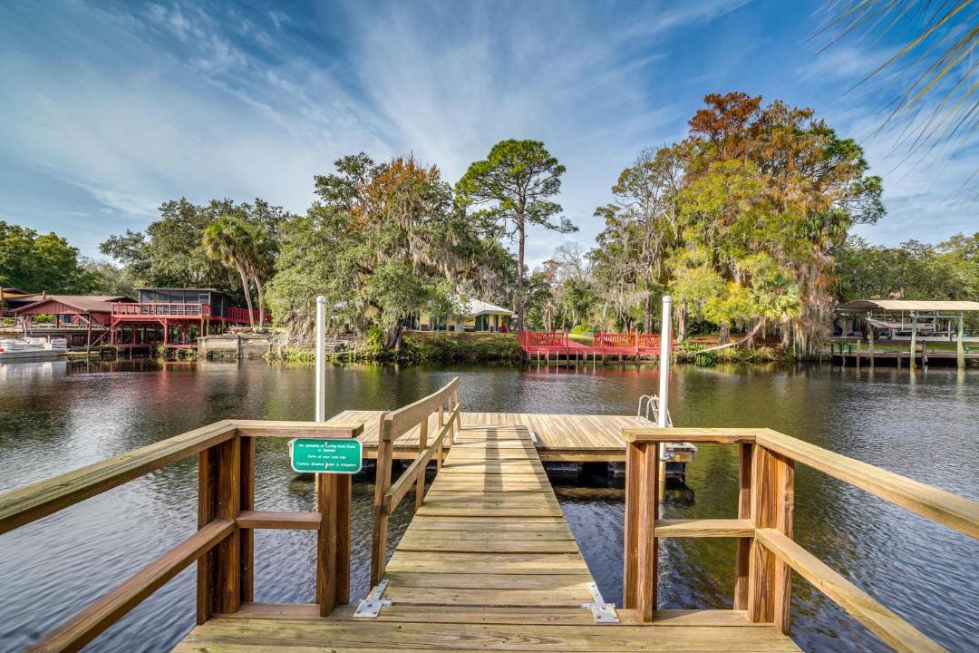 Photo of Others in Crystal River