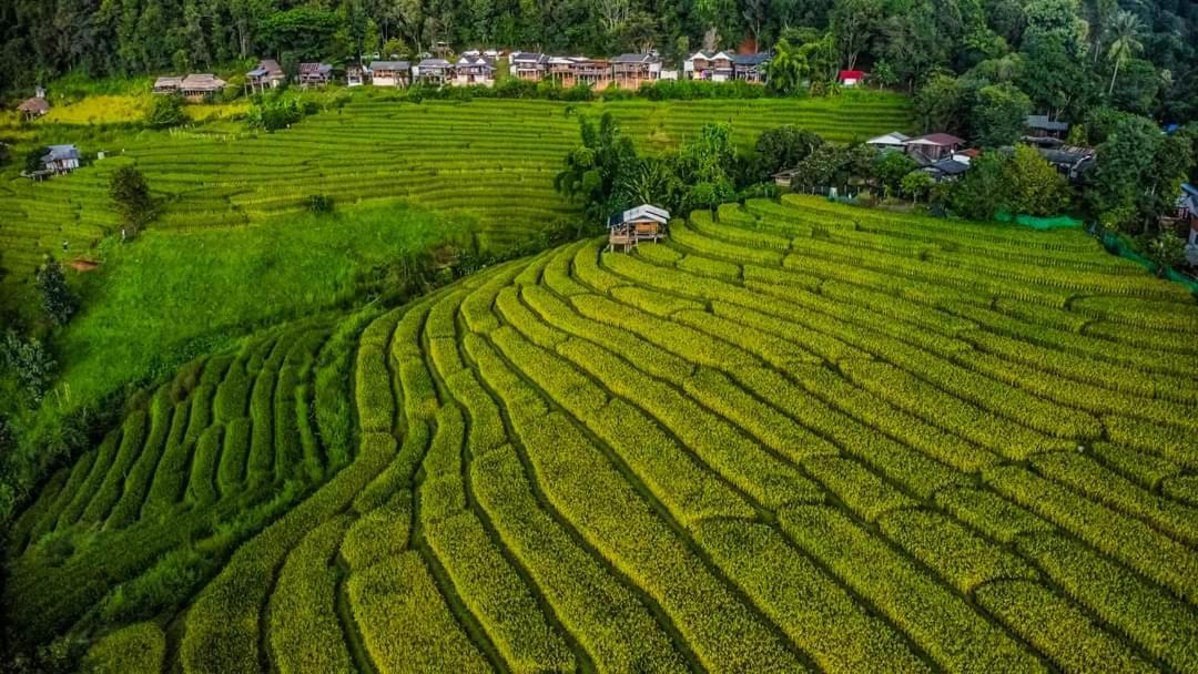 Photo of Others in Mae Chaem