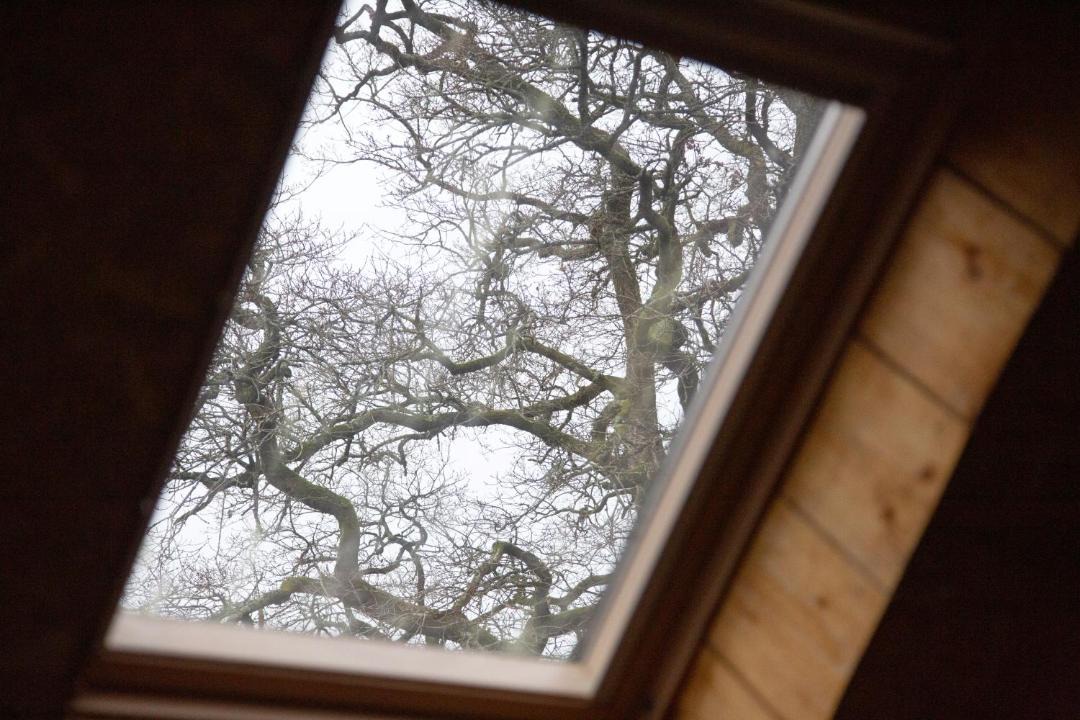 Photo of Bedroom in Saint-Tugdual