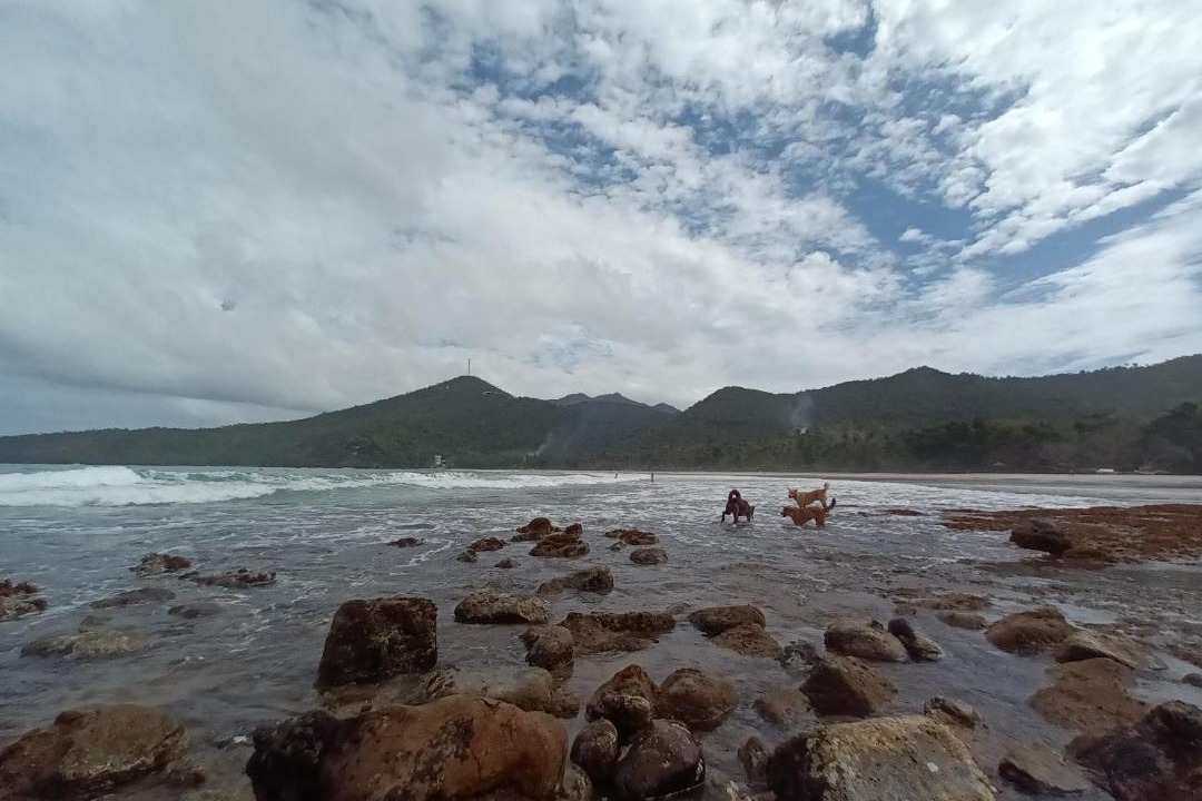 Photo of Others in Puerto Princesa