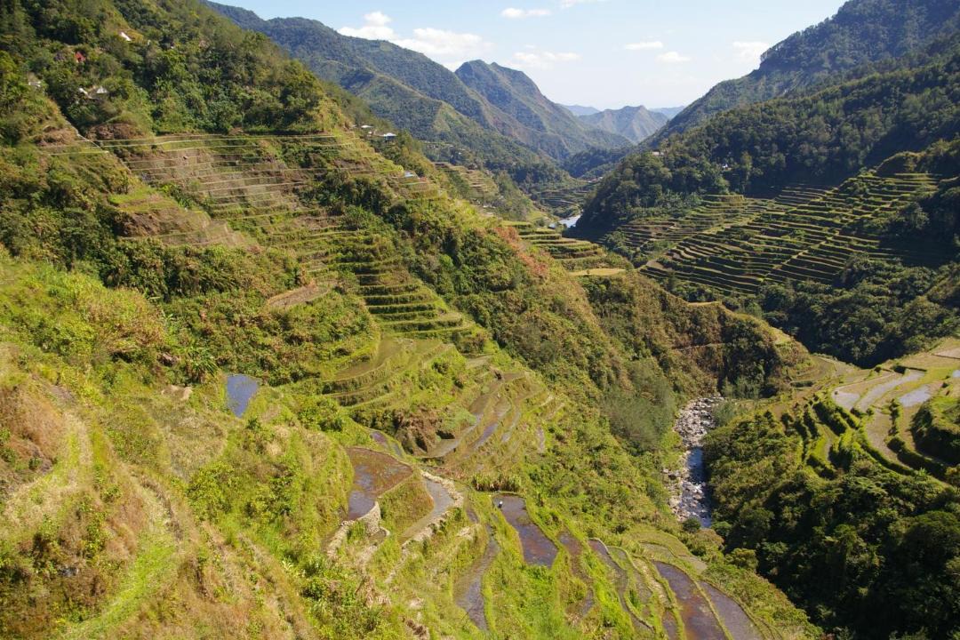 Photo of Others in Batad