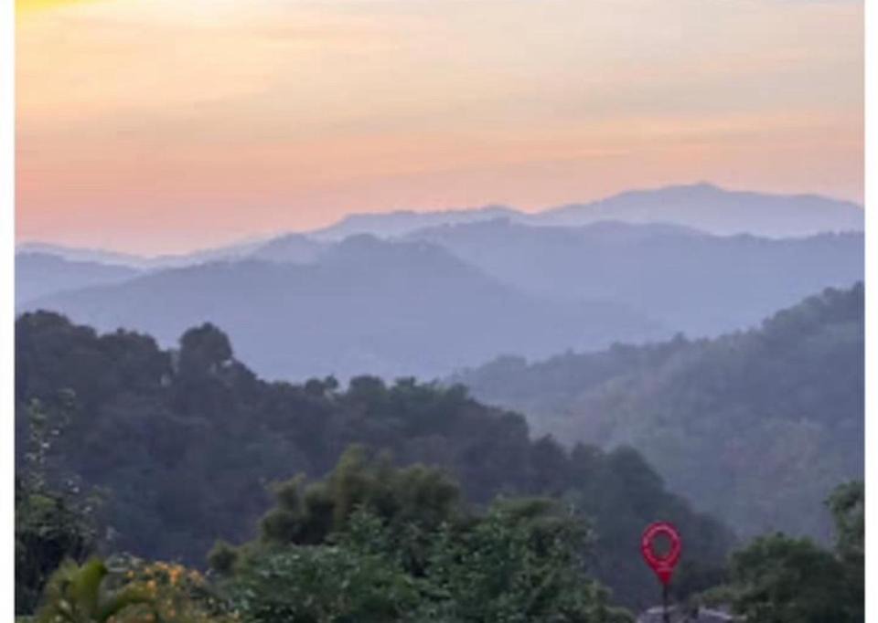 Photo of Others in Mae Fa Luang