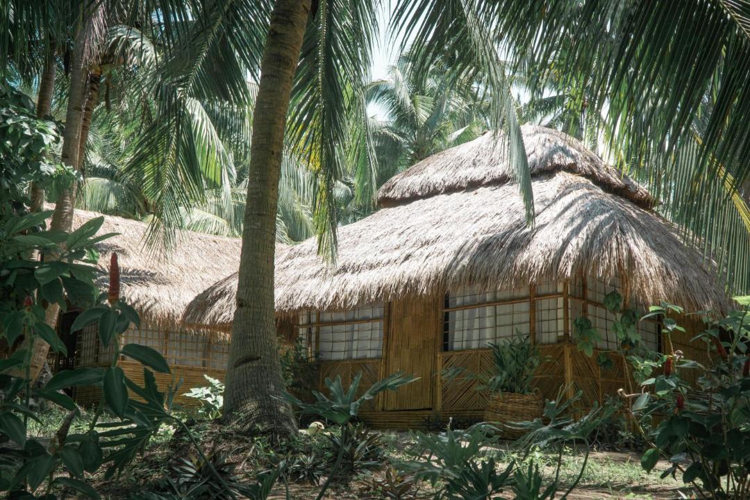 Photo of Others in Linapacan