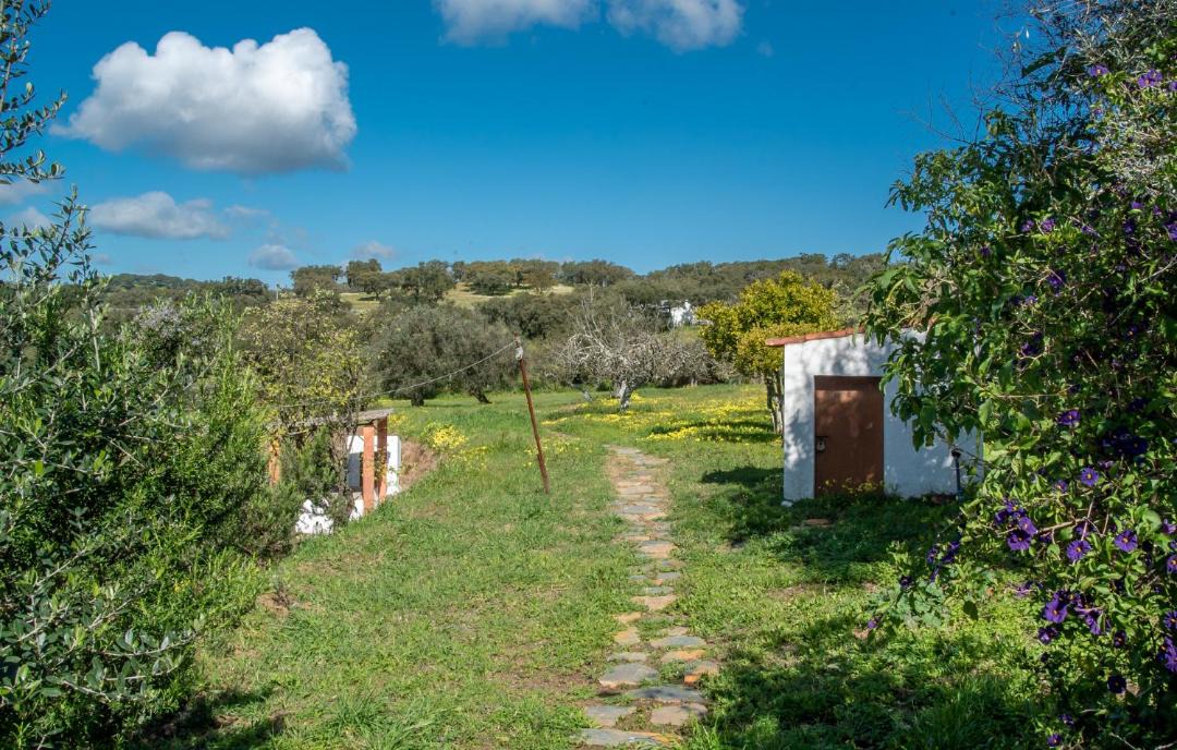 Photo of Others in Evoramonte