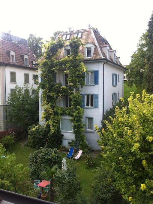 Photo of Others in Seebach