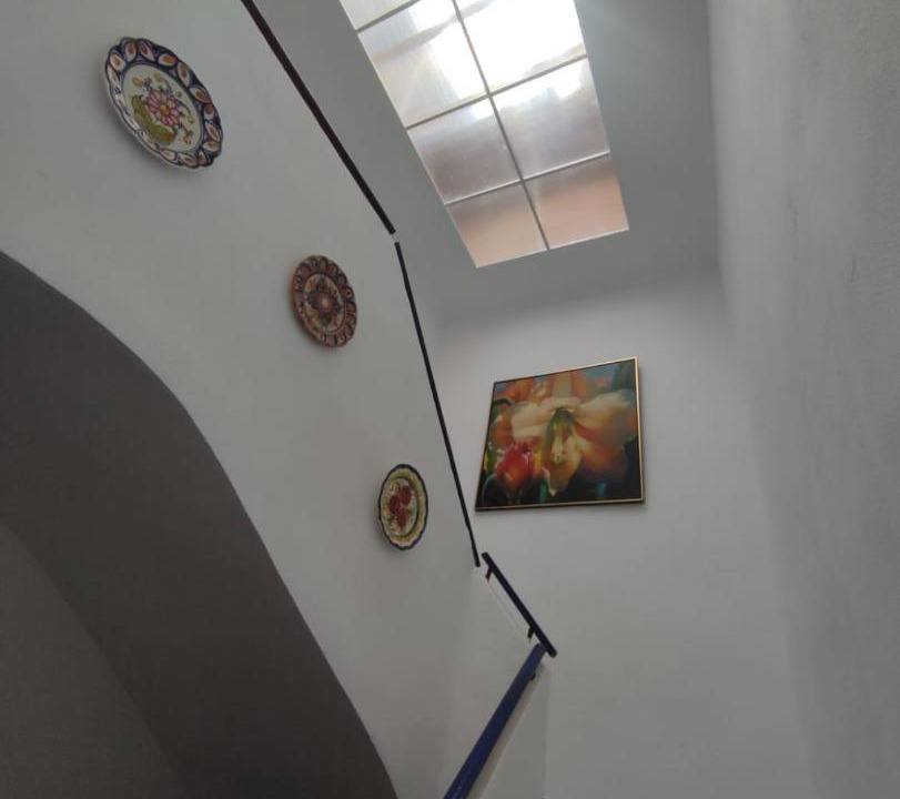 Photo of Others in Pinoso