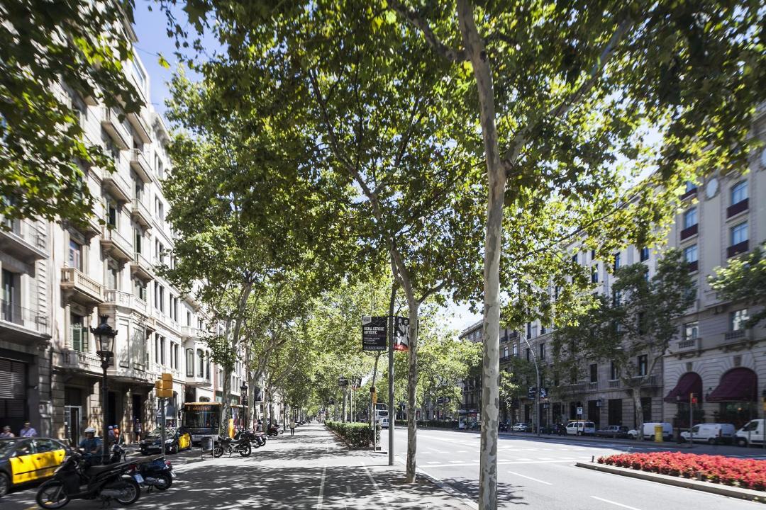 Photo of Others in Dreta de l'Eixample