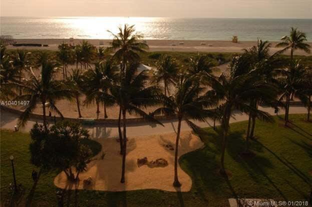 Photo of Others in South Beach