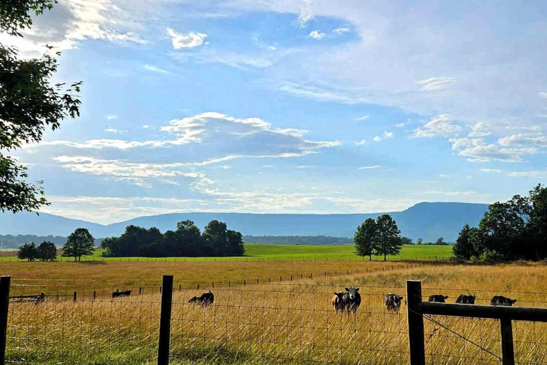 Photo of Others in Luray
