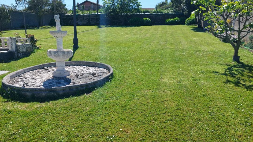 Photo of Others in Monte