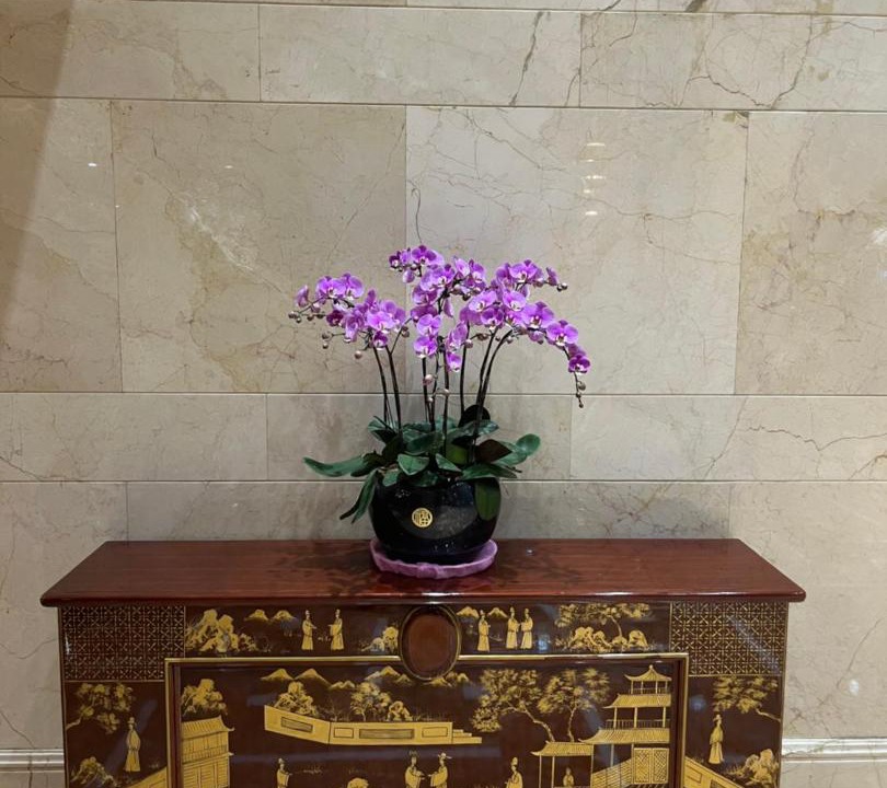 Photo of Others in Yu Hua