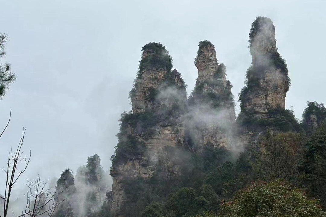 Photo of Others in Wulingyuan