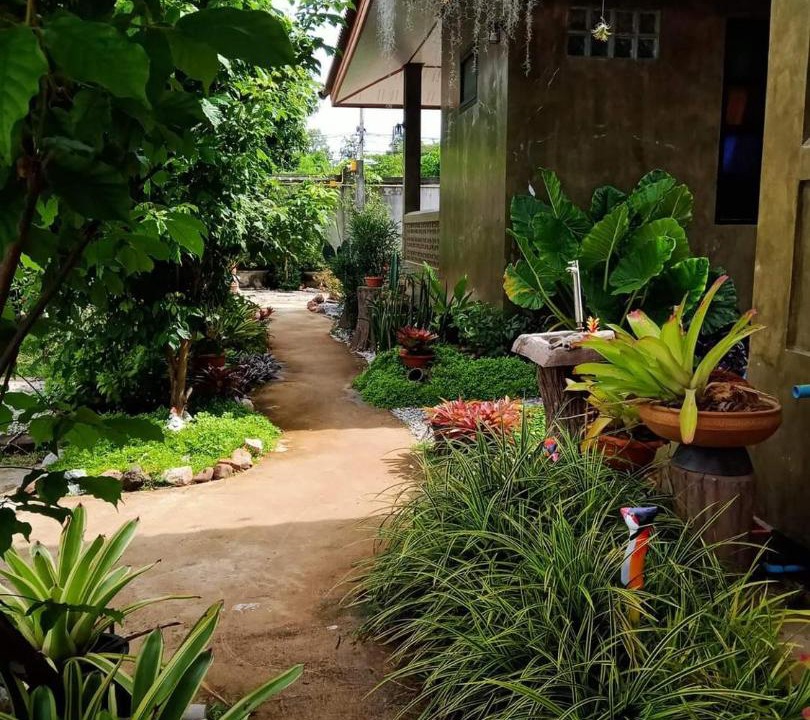 Photo of Buildings in Lampang