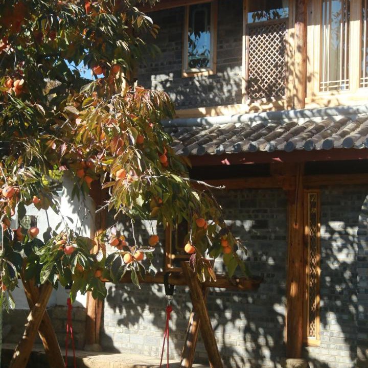 Photo of Others in Shuhe Old Town
