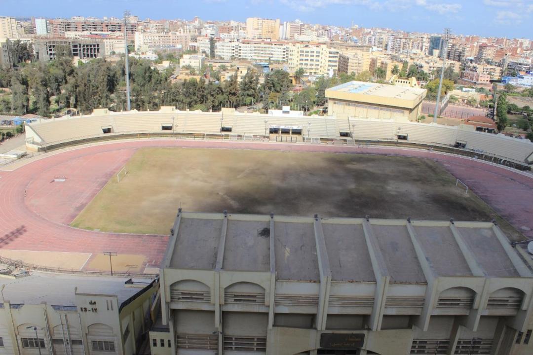 Photo of Others in Mansoura