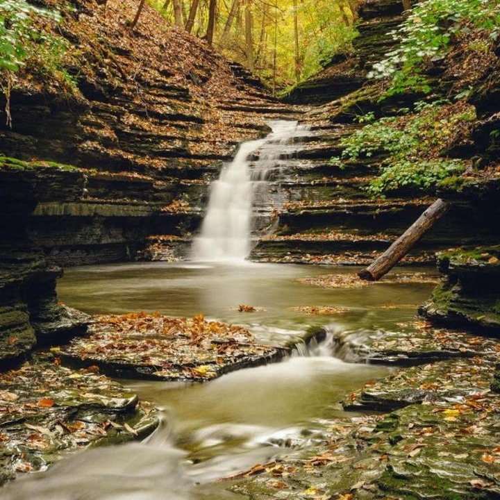 Photo of Others in Ithaca