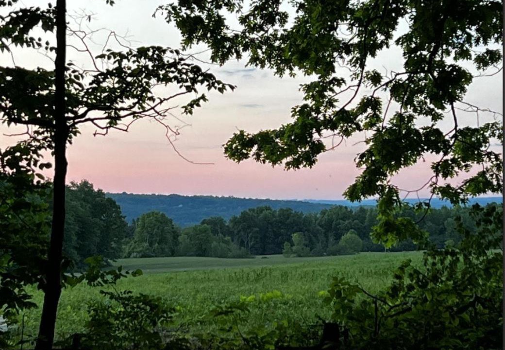 Photo of Others in Ithaca