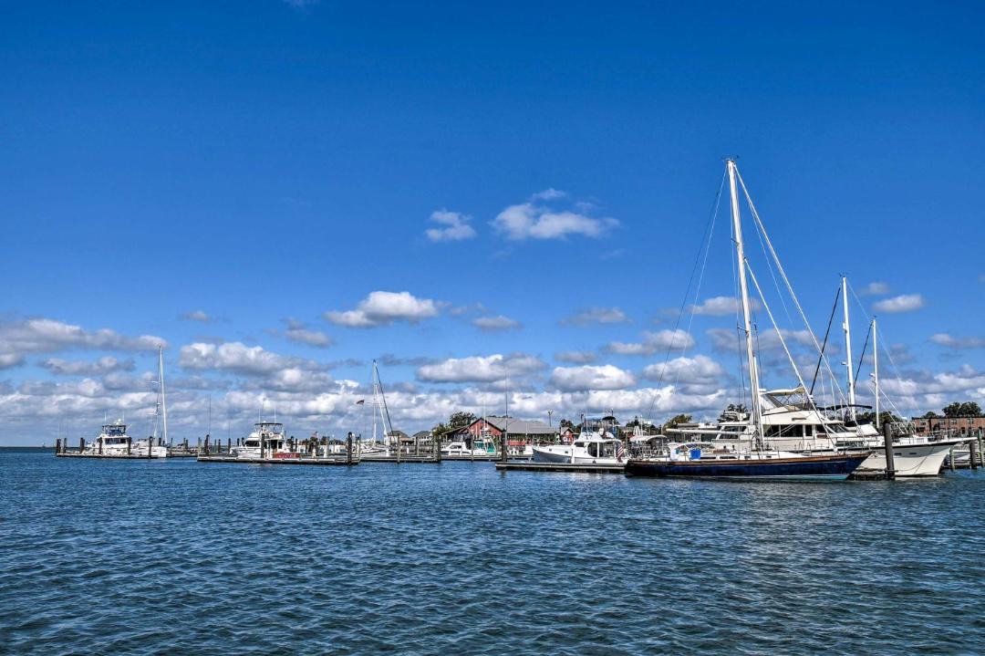 Photo of Outdoor in Cape Charles