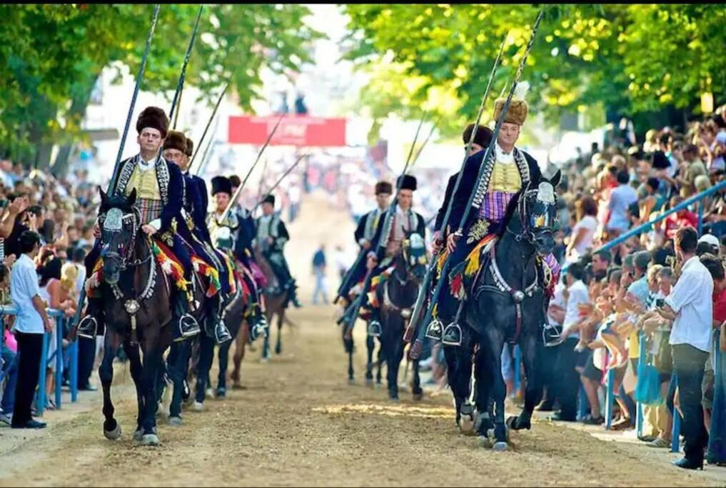 Photo of Others in Sinj