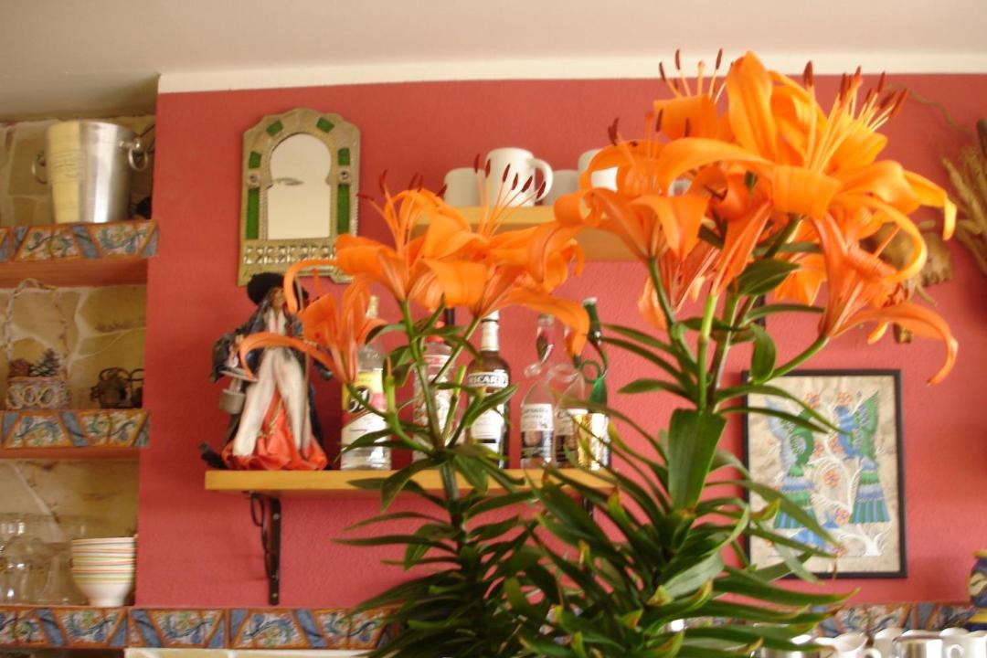 Photo of Others in Calpe