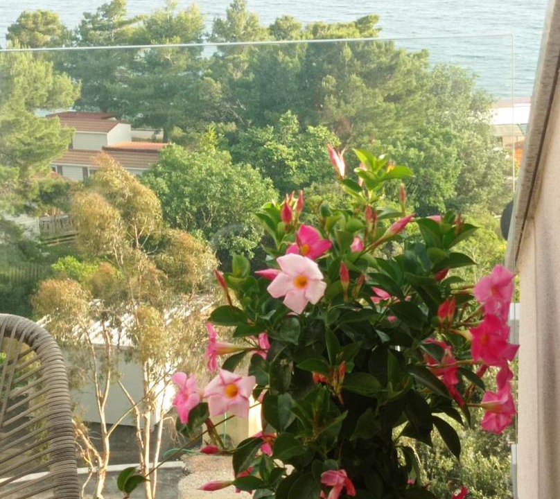 Photo of Patio Balcony in Blato